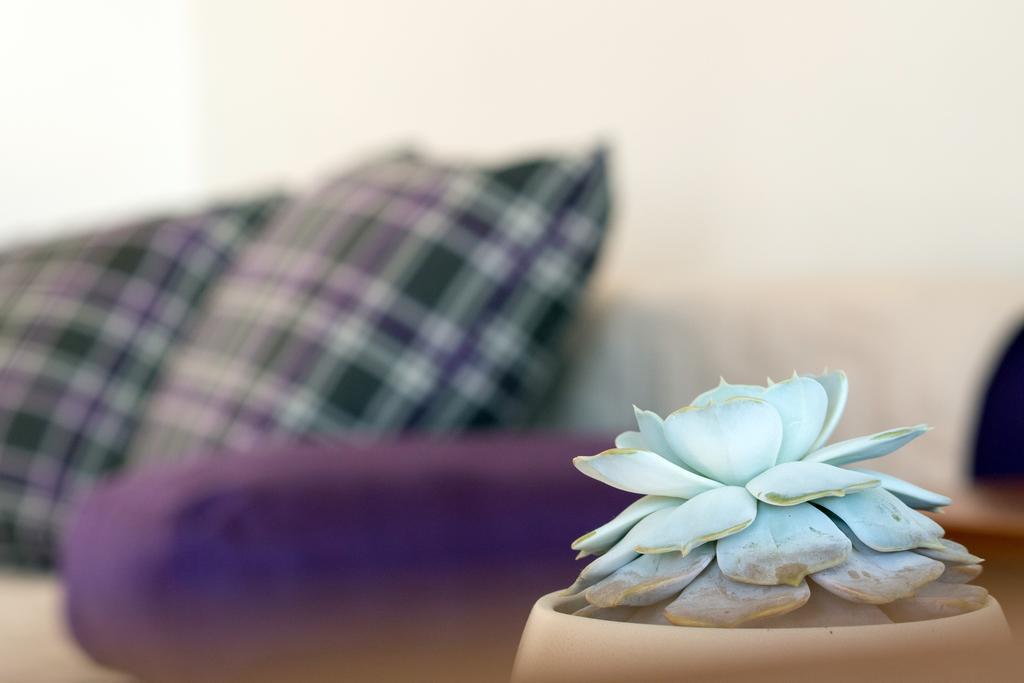 Beach Guesthouse Mediteran โปดสตรานา ห้อง รูปภาพ